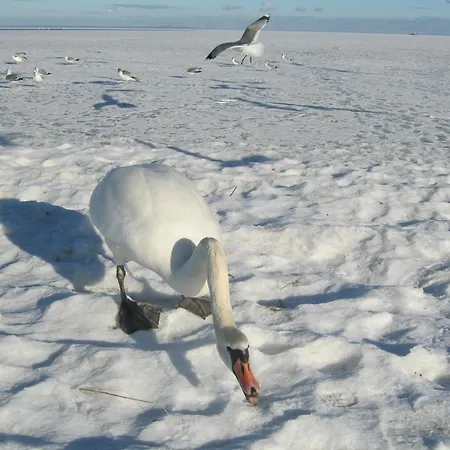 Suite Holiday 아파트 리에프가르텐